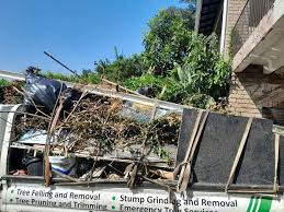 Best Construction Debris Removal in Pella, IA